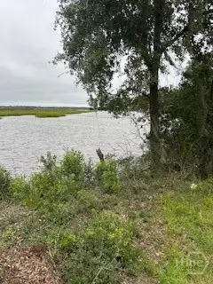 1179 NE River Plantation Place, Townsend, GA 31331 - Image #3