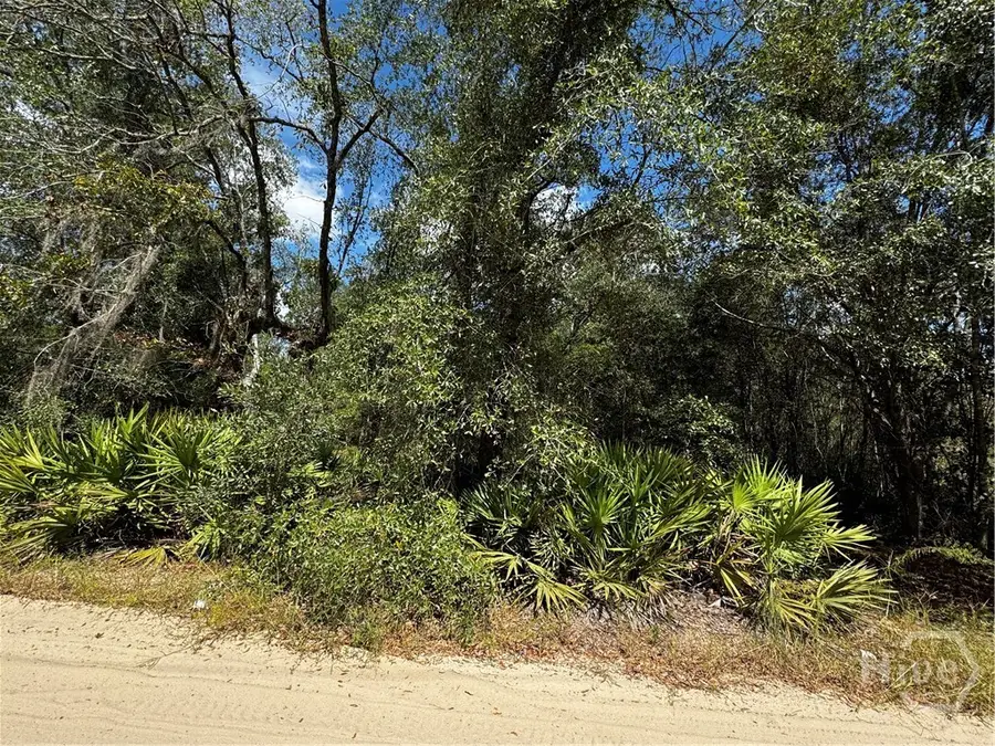 0 Hillside Dr - 2.49 Acres Drive, Claxton, GA 30417 - Image #2