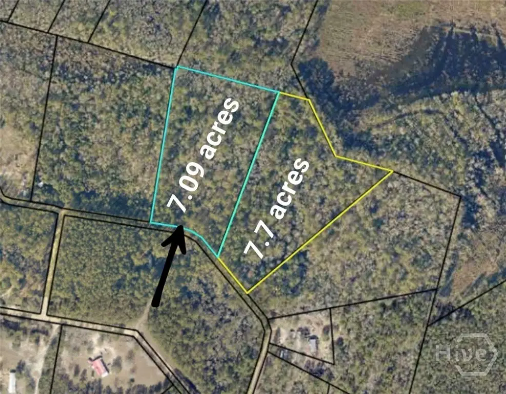 0 Hillside Dr - 7.09 Acres Drive, Claxton, GA 30417 - Image #1
