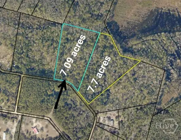 0 Hillside Dr - 7.09 Acres Drive, Claxton, GA 30417