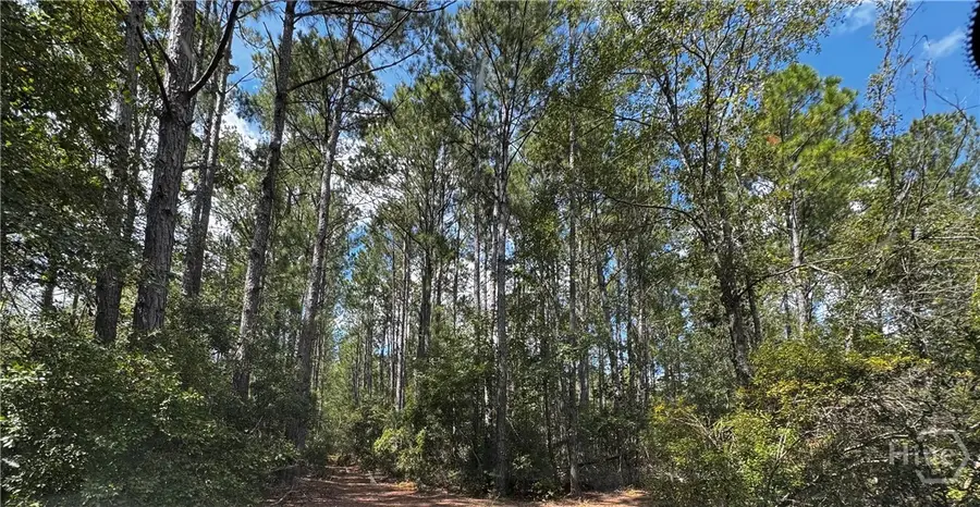 0 Hillside Dr - 7.09 Acres Drive, Claxton, GA 30417 - Image #2