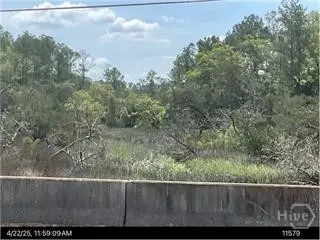 0 Belle Hammock Road, Townsend, GA 31331