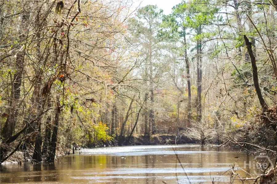 0 Tillman Eason Road, Claxton, GA 30417 - Image #2