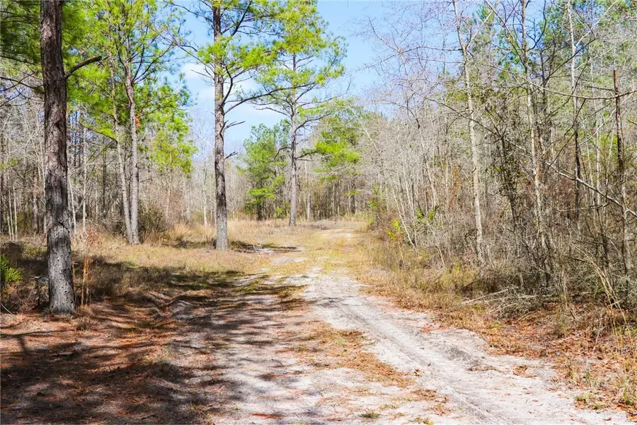 0 Tillman Eason Road, Claxton, GA 30417 - Image #3