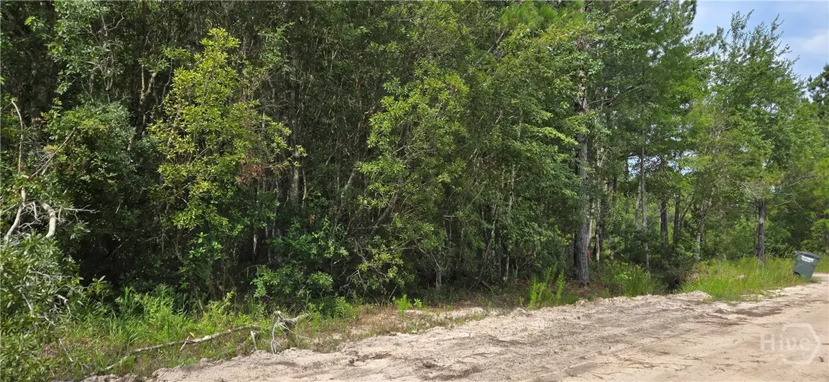 7.56 Acre Maple Drive, Ludowici, GA 31316 - Image #1