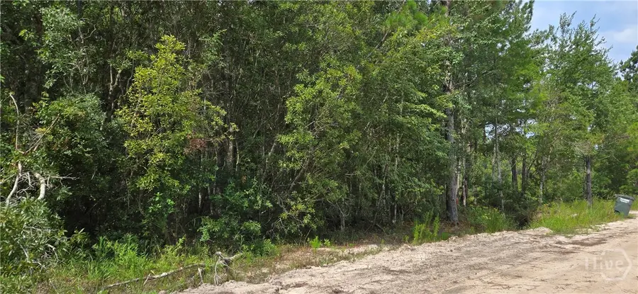 7.56 Acre Maple Drive, Ludowici, GA 31316 - Image #2