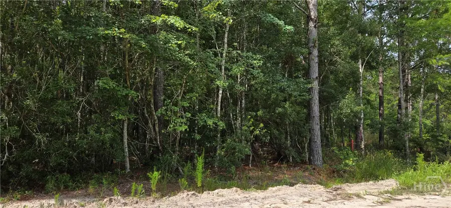 7.56 Acre Maple Drive, Ludowici, GA 31316 - Image #3