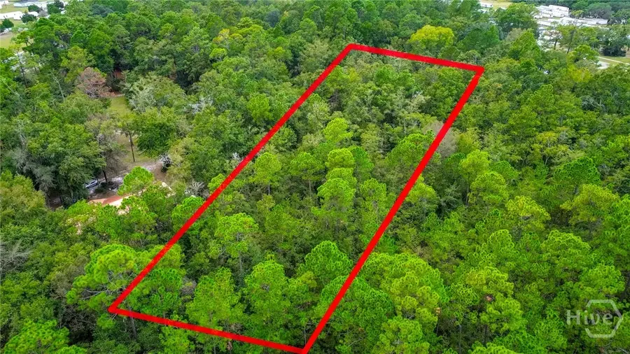 0 & 1 Denise Lane, Walthourville, GA 31333 - Image #2