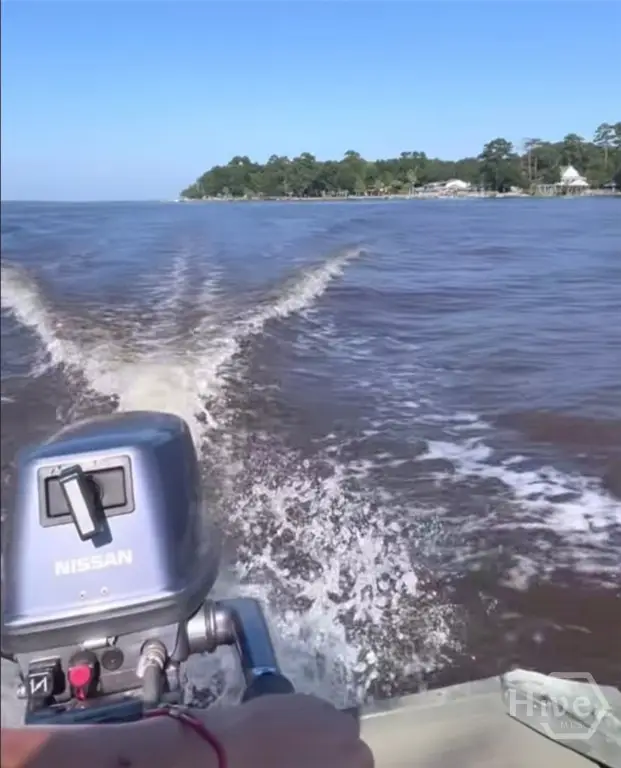 0 Marie, Lot 2 Marie Avenue, Midway, GA 31320 - Image #3