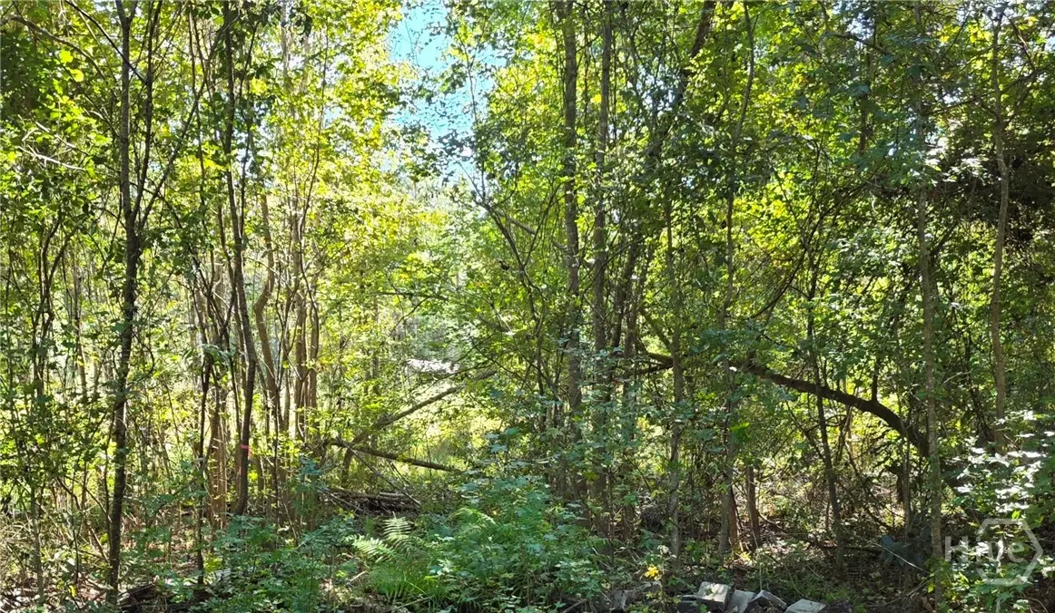 0 Marie Lot 9 Marie Avenue, Midway, GA 31320 - Image #1