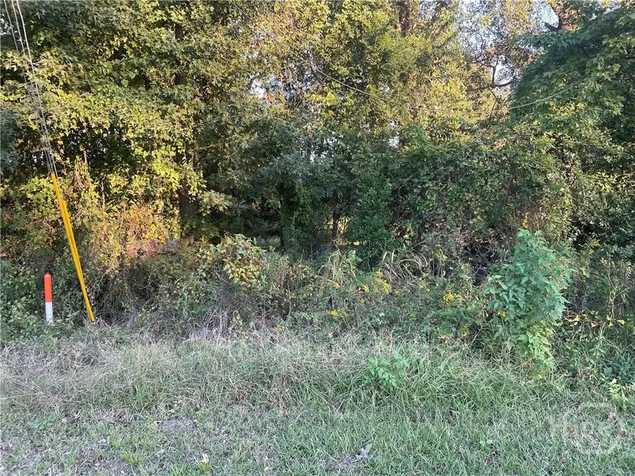 0 Fair Street, Savannah, GA 31408 - #2