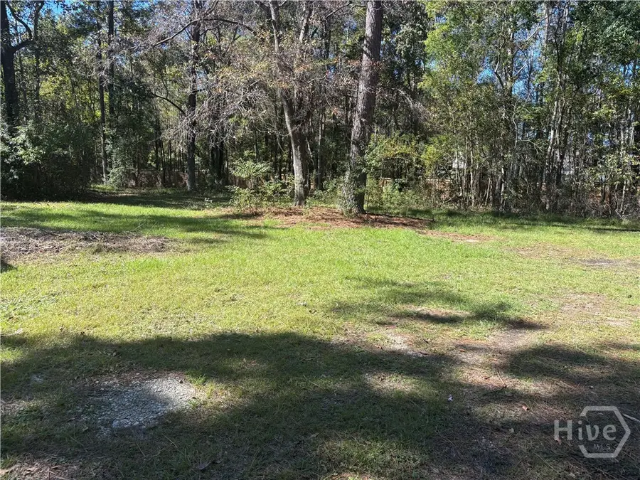 259 Zettler Loop, Guyton, GA 31312 - Image #2