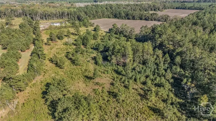 545 Live Oak Lane, Brooklet, GA 30415 - Image #3