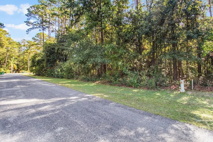 Lot 125 Sapelo Circle Ne, Townsend, GA 31331 - Image #3