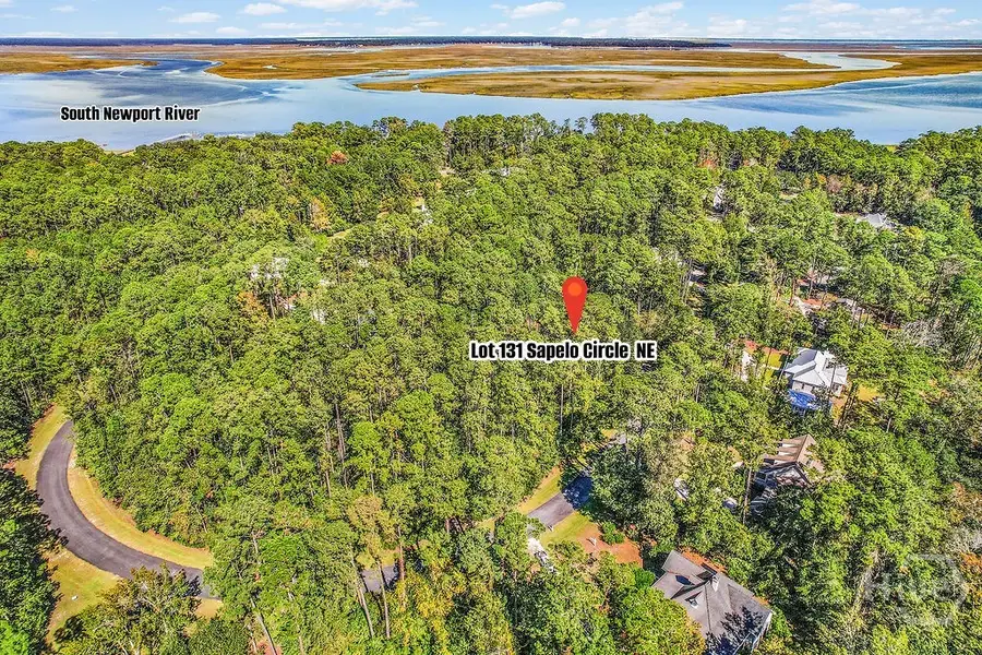 0 Sapelo Cir Ne, Townsend, GA 31331 - Image #2