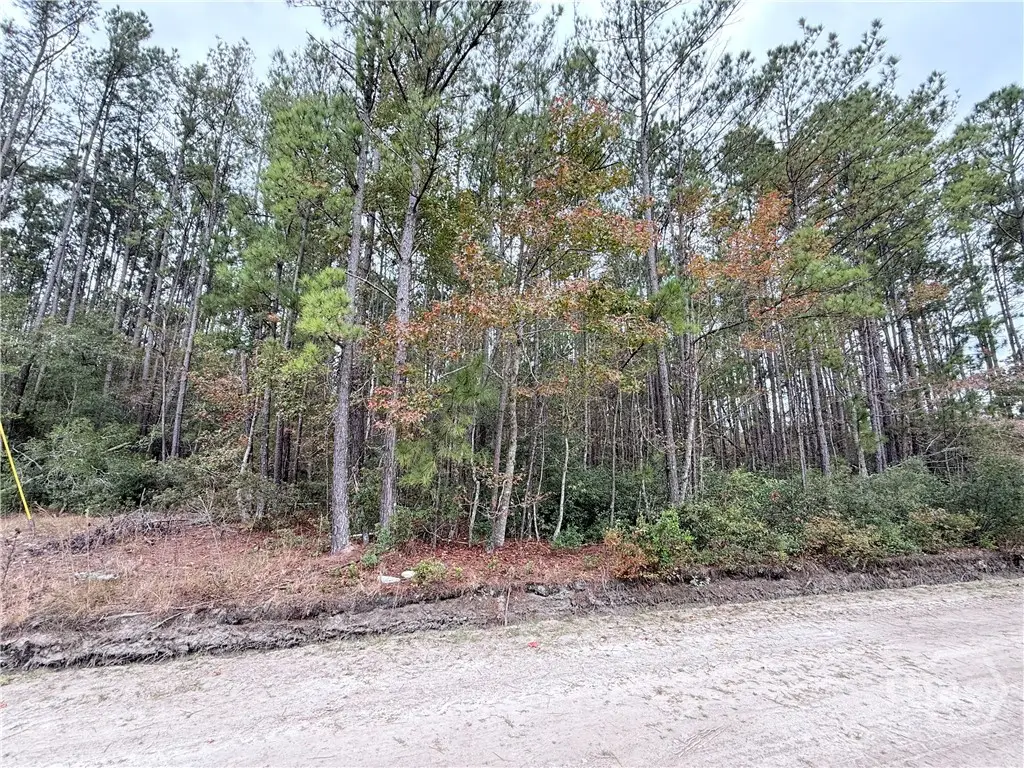 0 Raymona Lane, Brooklet, GA 30415 - Image #1