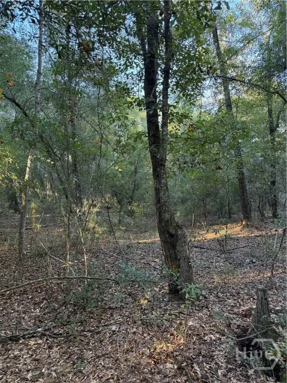 0 Simmons Street, Guyton, GA 31312 - #2