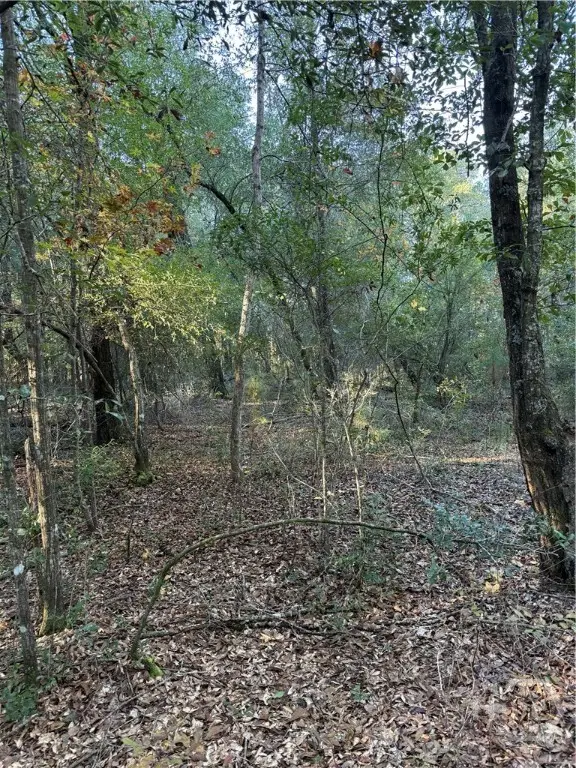 0 Simmons Street, Guyton, GA 31312 - #3