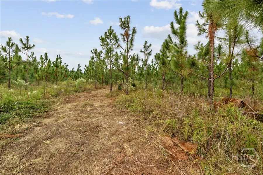 0 Hwy 297 - Tract 4, Soperton, GA 30457 - Image #2