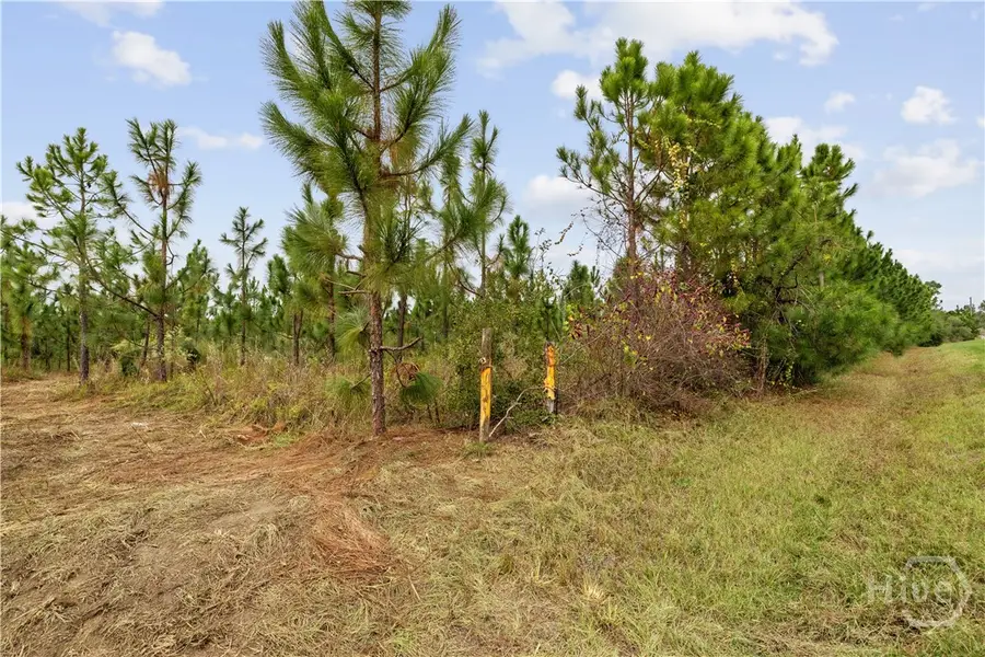 0 Hwy 297 - Tract 4, Soperton, GA 30457 - Image #3