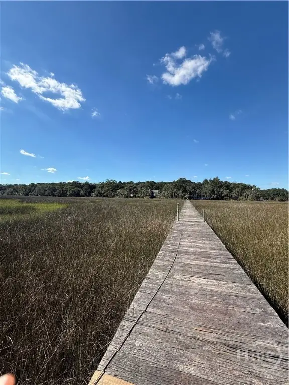 255 Passaic Lane, Richmond Hill, GA 31324 - Image #2