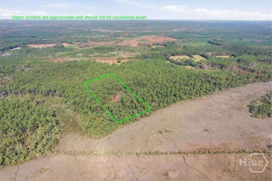 0 NE Fair Hope Road, Townsend, GA 31331 - Image #3