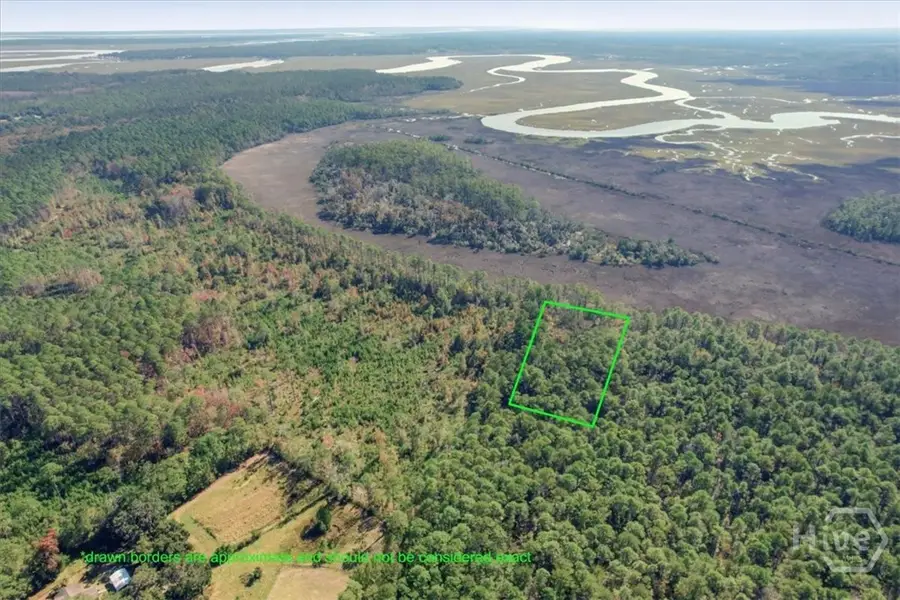 01 NE Fair Hope Road, Townsend, GA 31331 - Image #2