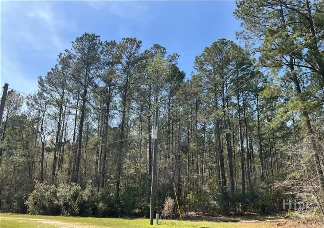 1258 Clyo Kildare Road, Clyo, GA 31303 - Image #1