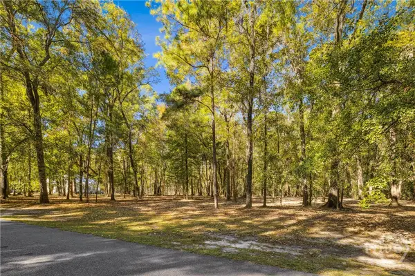 217 Mcallister Landing, Richmond Hill, GA 31324