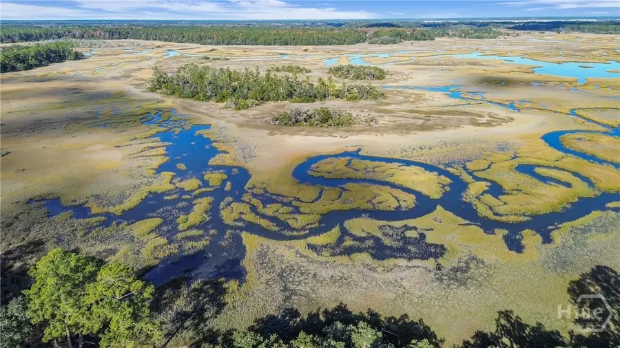 1261 Otter Slide Loop Ne, Darien, GA 31305 - Image #2