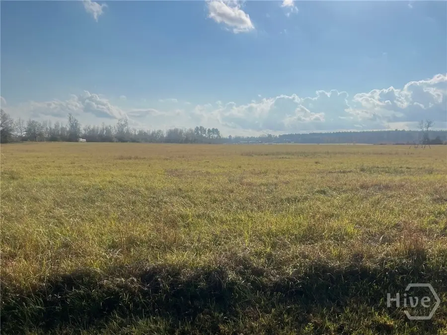 0 Old Savannah Road W, Millen, GA 30442 - Image #3
