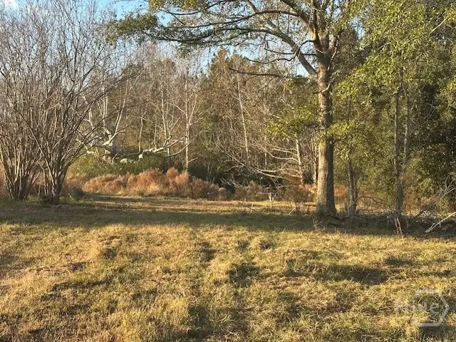 8893 Sunbury, Claxton, GA 30417 - Image #3