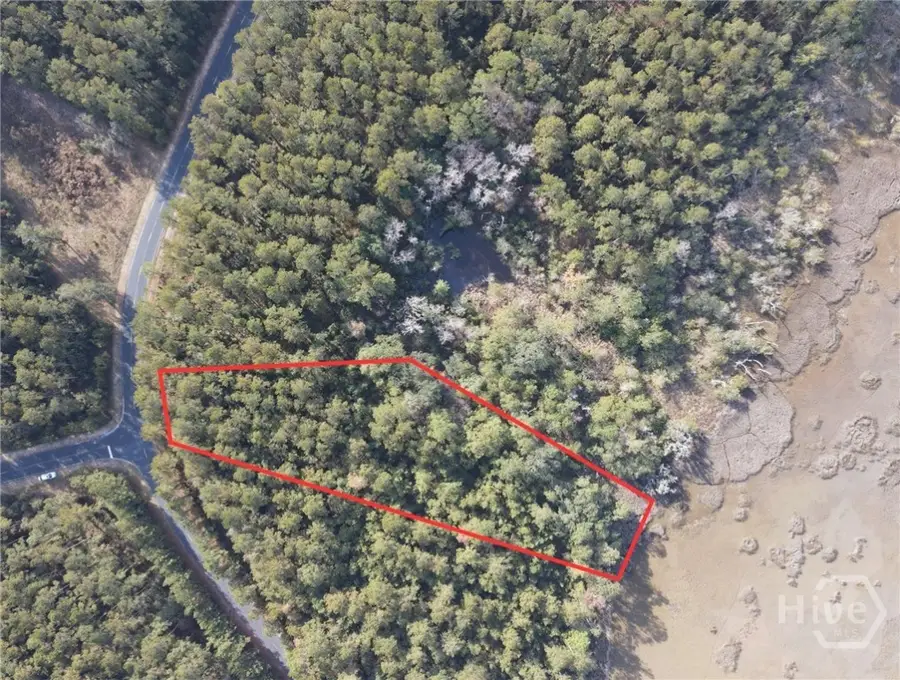 Lot 45 NE Marsh Way W, Townsend, GA 31331 - Image #3