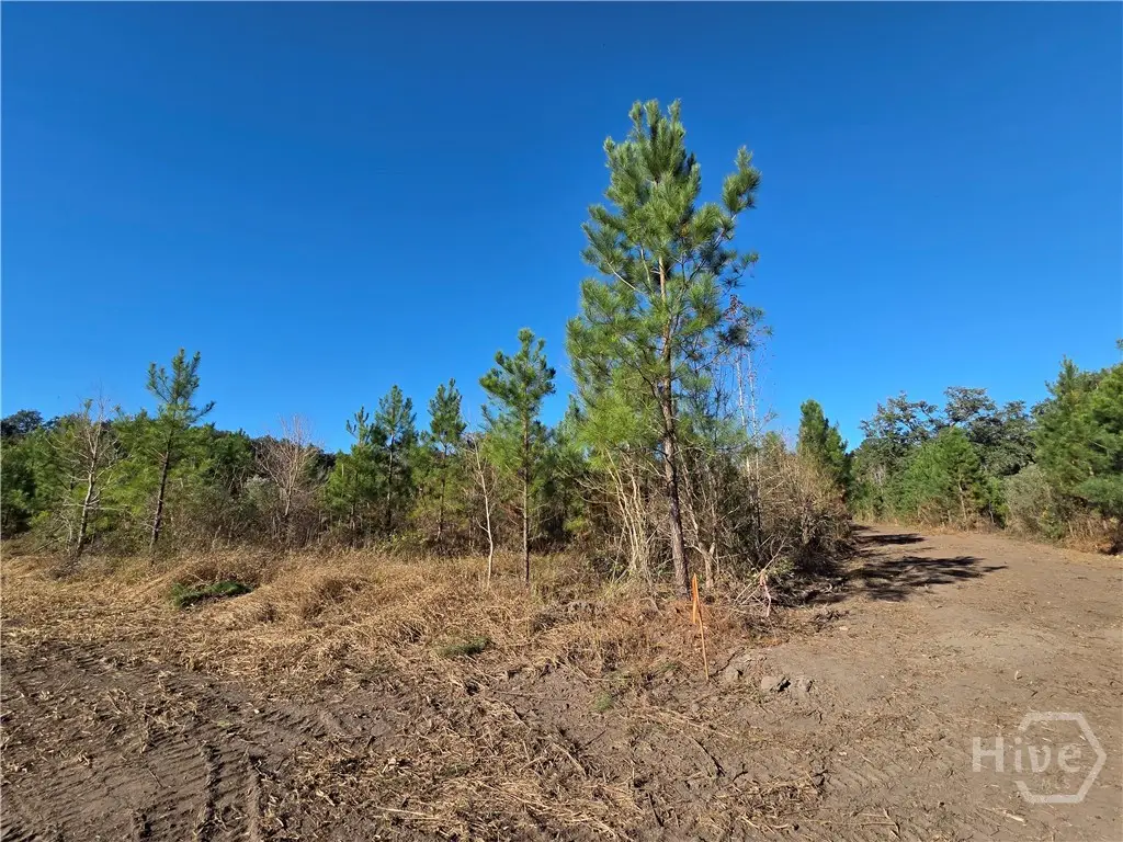 1 Acre E Oglethorpe, Midway, GA 31320 - Image #1