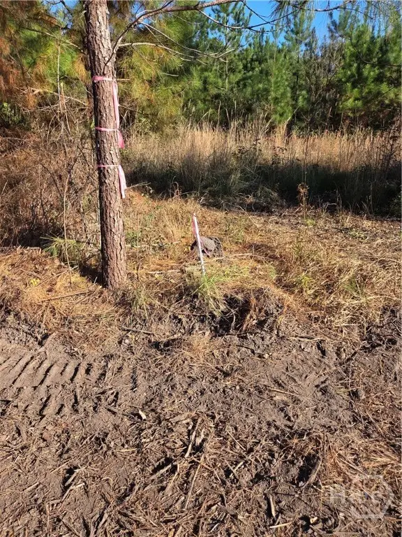 1 Acre E Oglethorpe, Midway, GA 31320 - Image #3