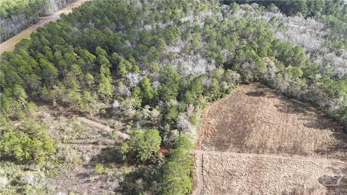 0 Mt Hope Road #Lot 5A, Guyton, GA 31312 - Image #1