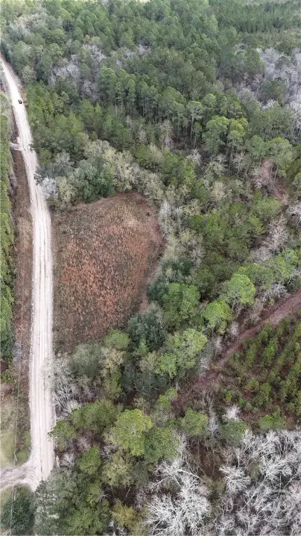 0 Mt Hope Road #Lot 5B, Guyton, GA 31312 - Image #3