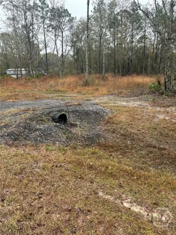 0 Mack English Road, Ellabell, GA 31308 - Image #2