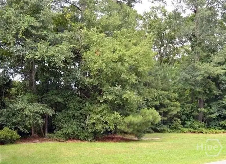 14 Wedgefield Crossing, Savannah, GA 31405 - Image #2