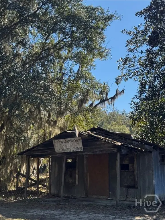 353 Wilder Road, Allenhurst, GA 31301 - Image #2