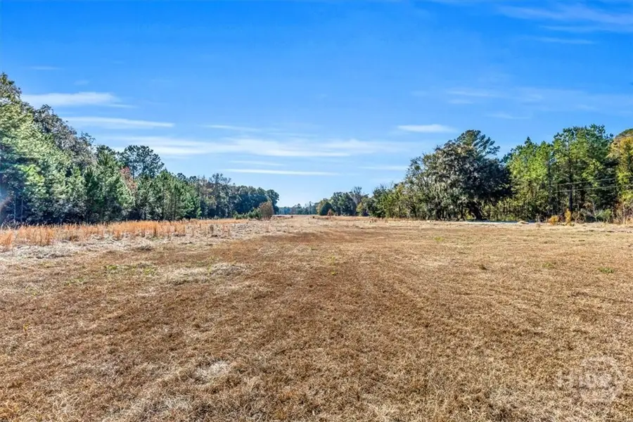 580 Old Gress Island Road, Midway, GA 31320 - Image #2