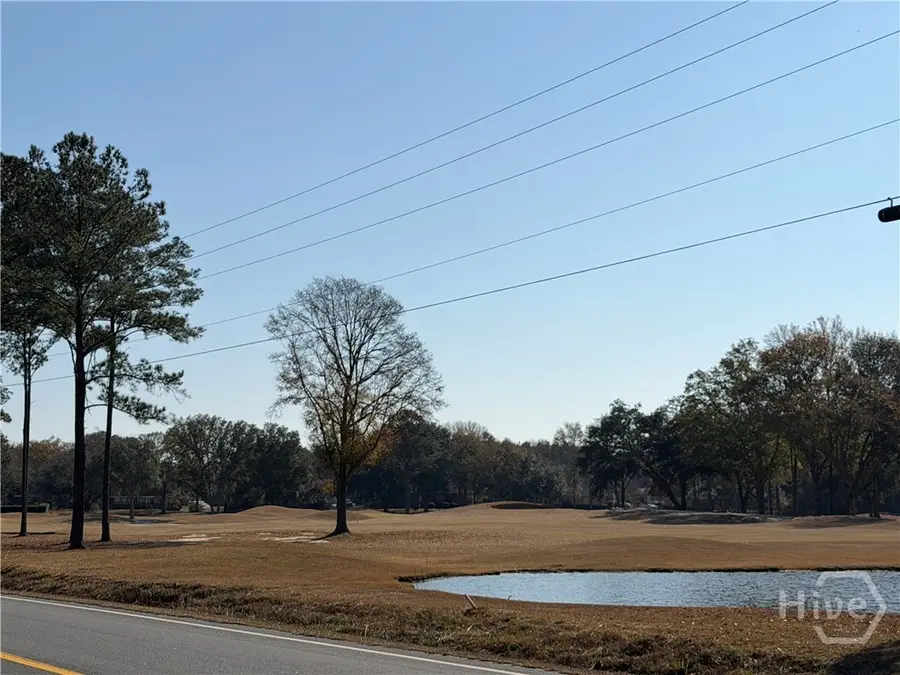 340 Frank Edwards Road, Ellabell, GA 31308 - Image #3