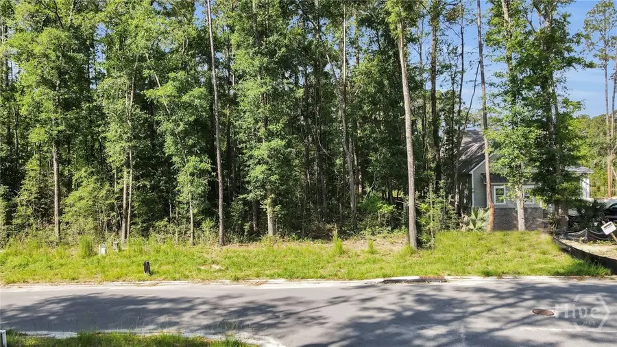 132 Waldburg Way, Richmond Hill, GA 31324 - #2