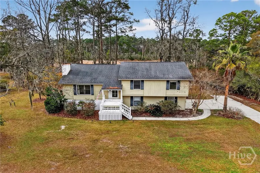 314 Mill Run Road, Richmond Hill, GA 31324 - #3