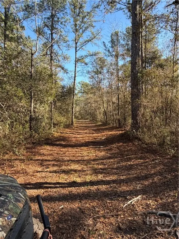 3833 Old Louisville Road, Guyton, GA 31312