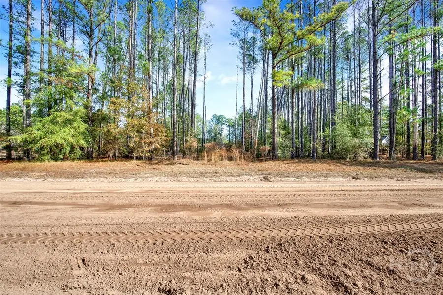 112 Dixie Drive, Springfield, GA 31329 - Image #2