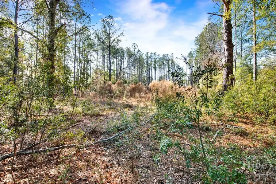 112 Dixie Drive, Springfield, GA 31329 - Image #3