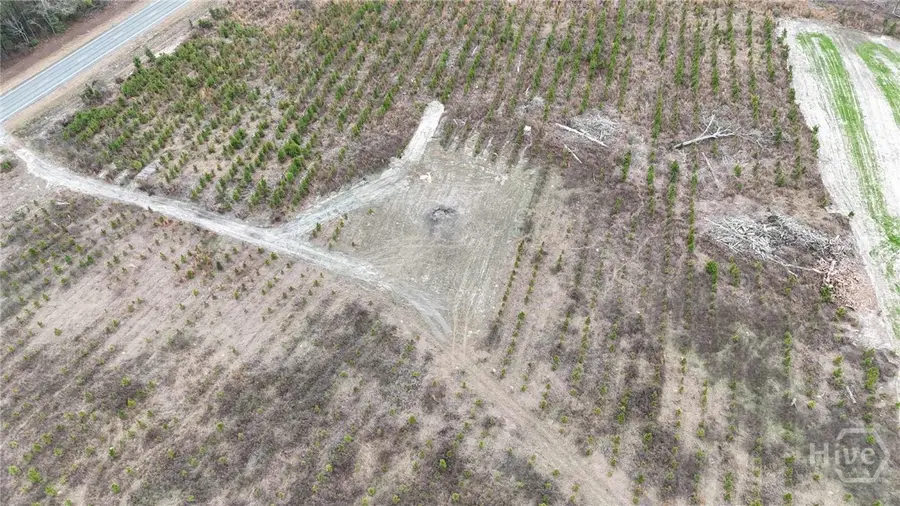 0 Highway 301, Statesboro, GA 30461 - #2