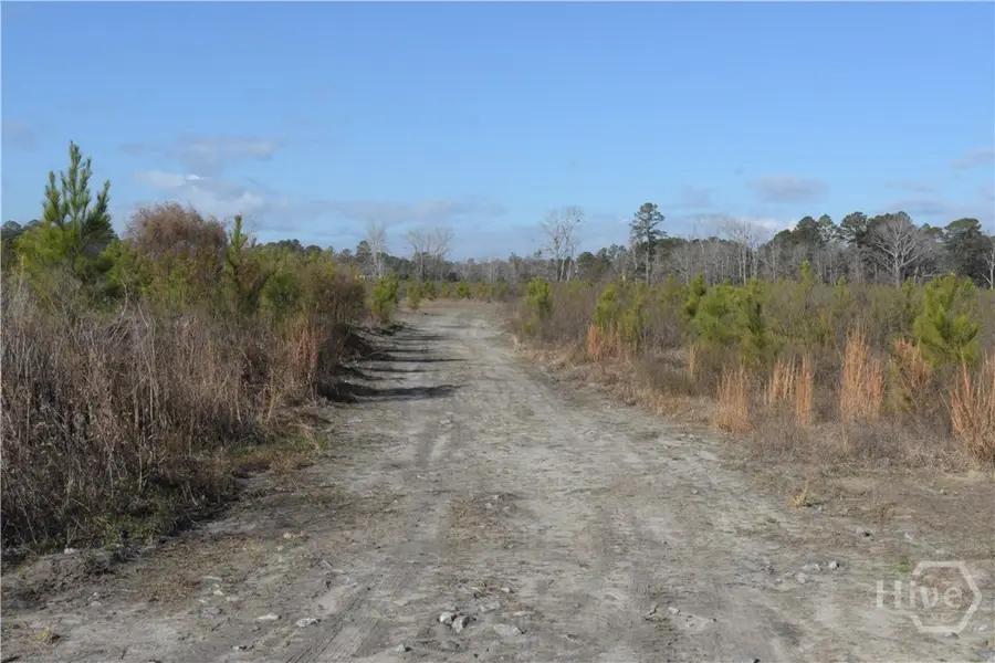0 Highway 301, Statesboro, GA 30461 - #3