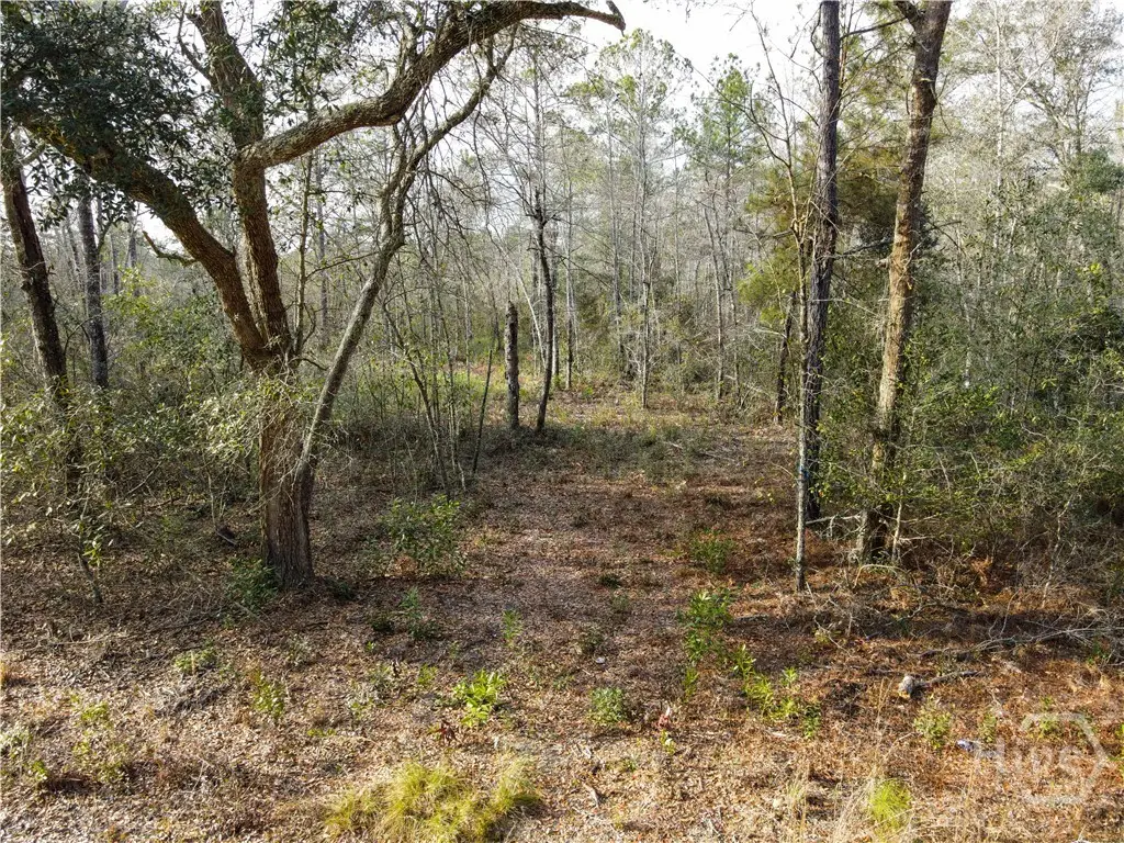 0 Floyd Road #Lot 8, Nevils Stilson, GA 31321 - Image #1